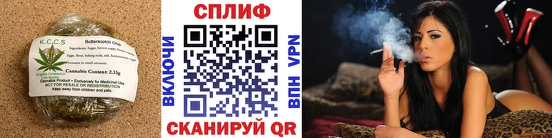 купить наркотики цена  ОМГ ОМГ вход  Canna-Cookies конопля  Курск 