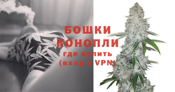 хмурый Чита