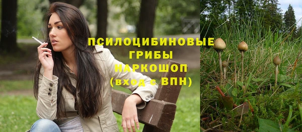 амф Ладушкин